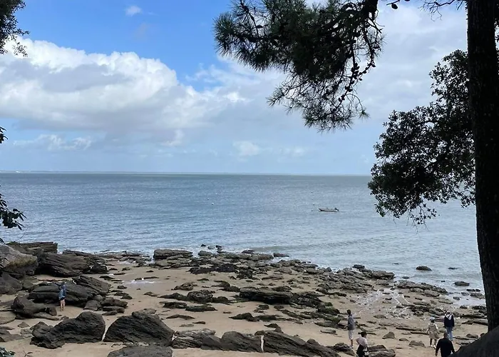 Maison Familiale Cosy Entre Pinede Et Ocean Parking Prive Et Pistes Cyclables * Saint-Jean-de-Monts